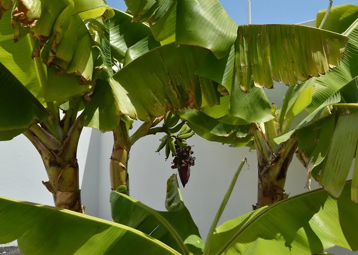 Mirafondo Дом отдыха Плайя-Онда