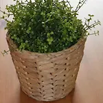 בית נופש Mirafondo פלאיה הונדה